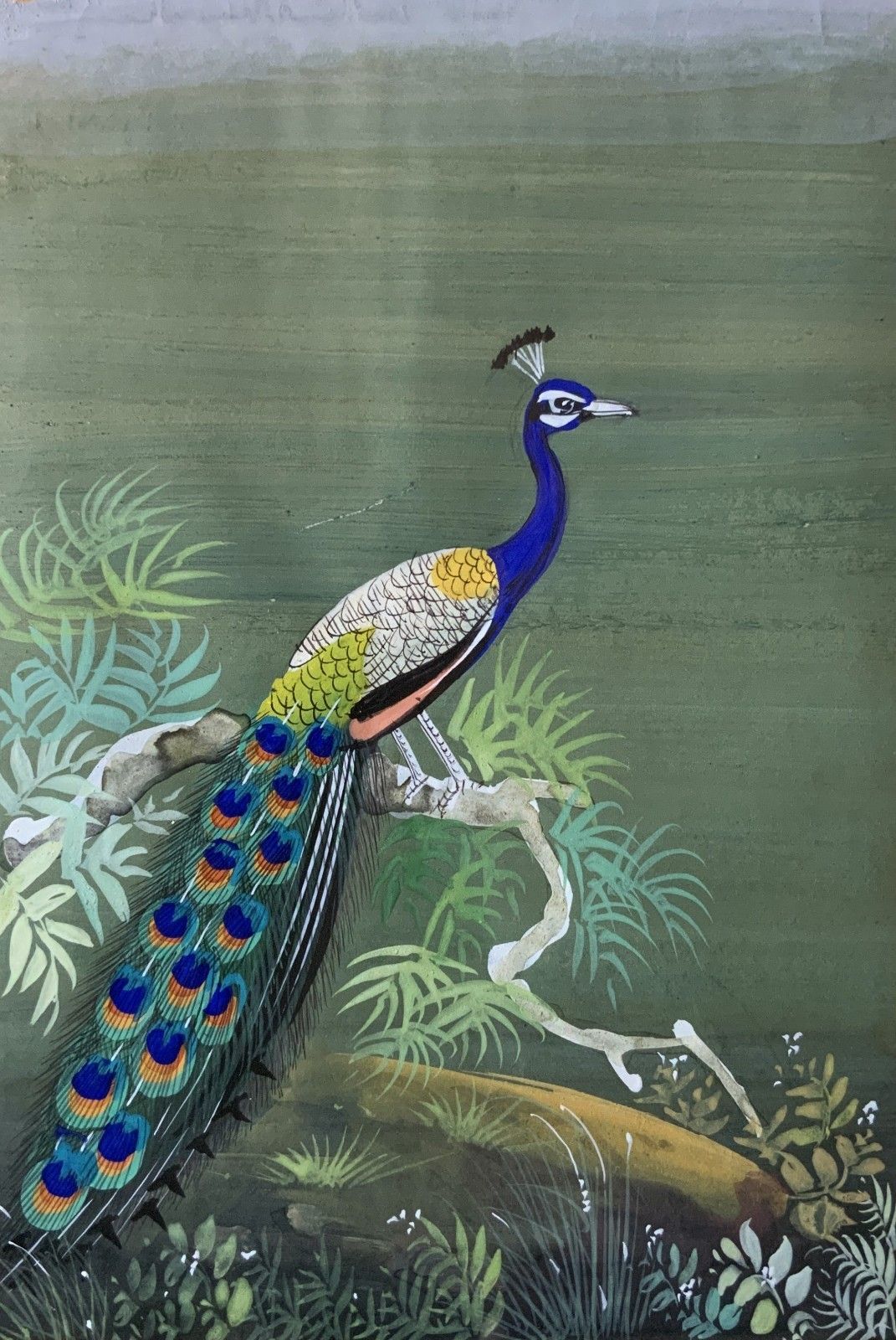 Charming 19thc Indian Mughal School Peacock Watercolour Painting With Scripture photo Art