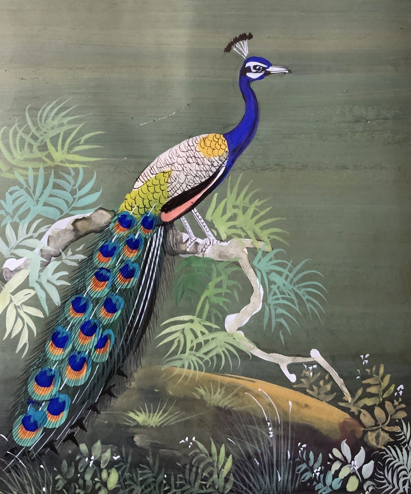Charming 19thc Indian Mughal School Peacock Watercolour Painting With Scripture photo 239.0