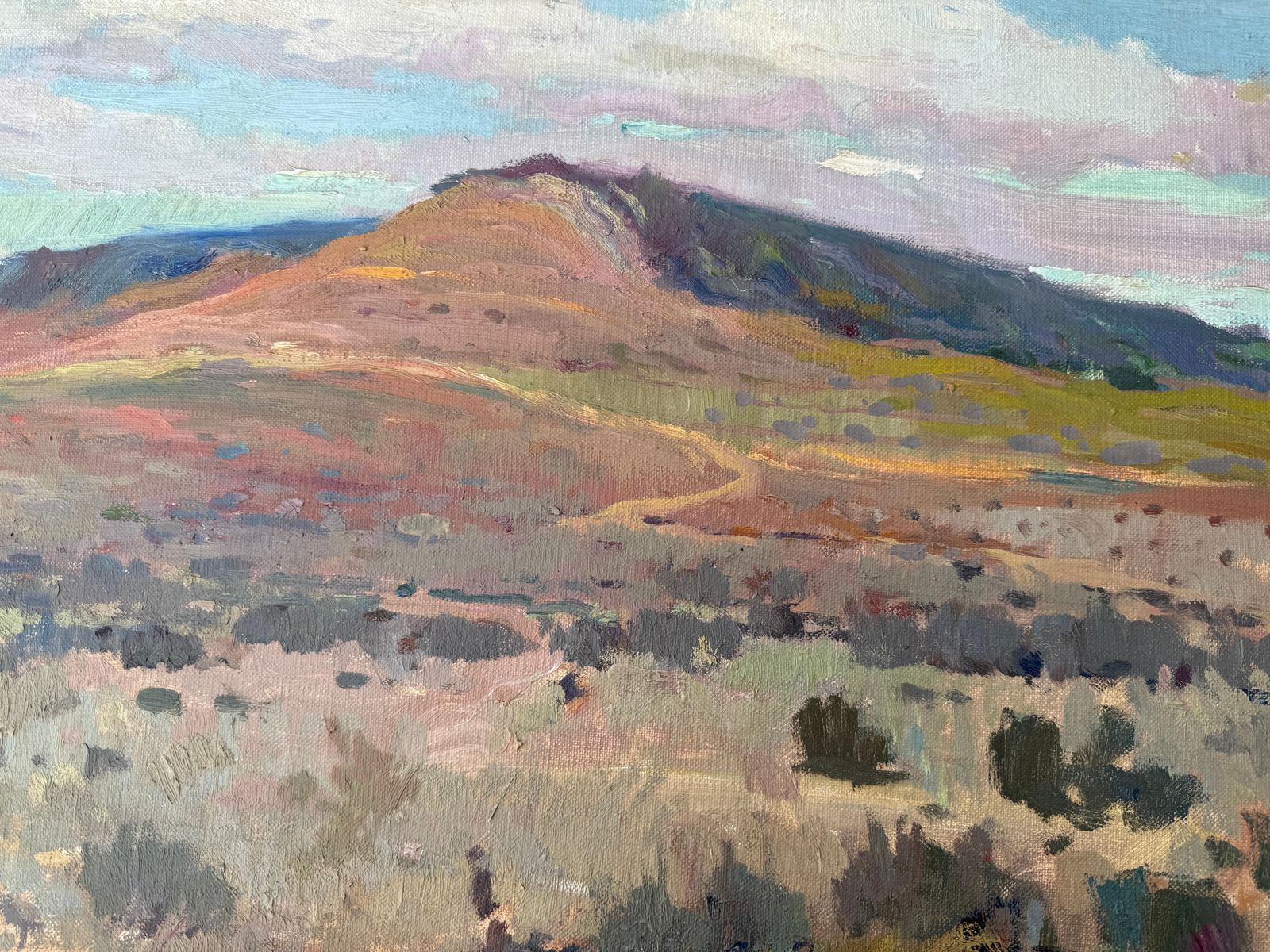 Antonio Sala Herrero Los Monegros España Europa Paisaje Pintura Al óleo Sobre Lienzo C.1970 photo buy