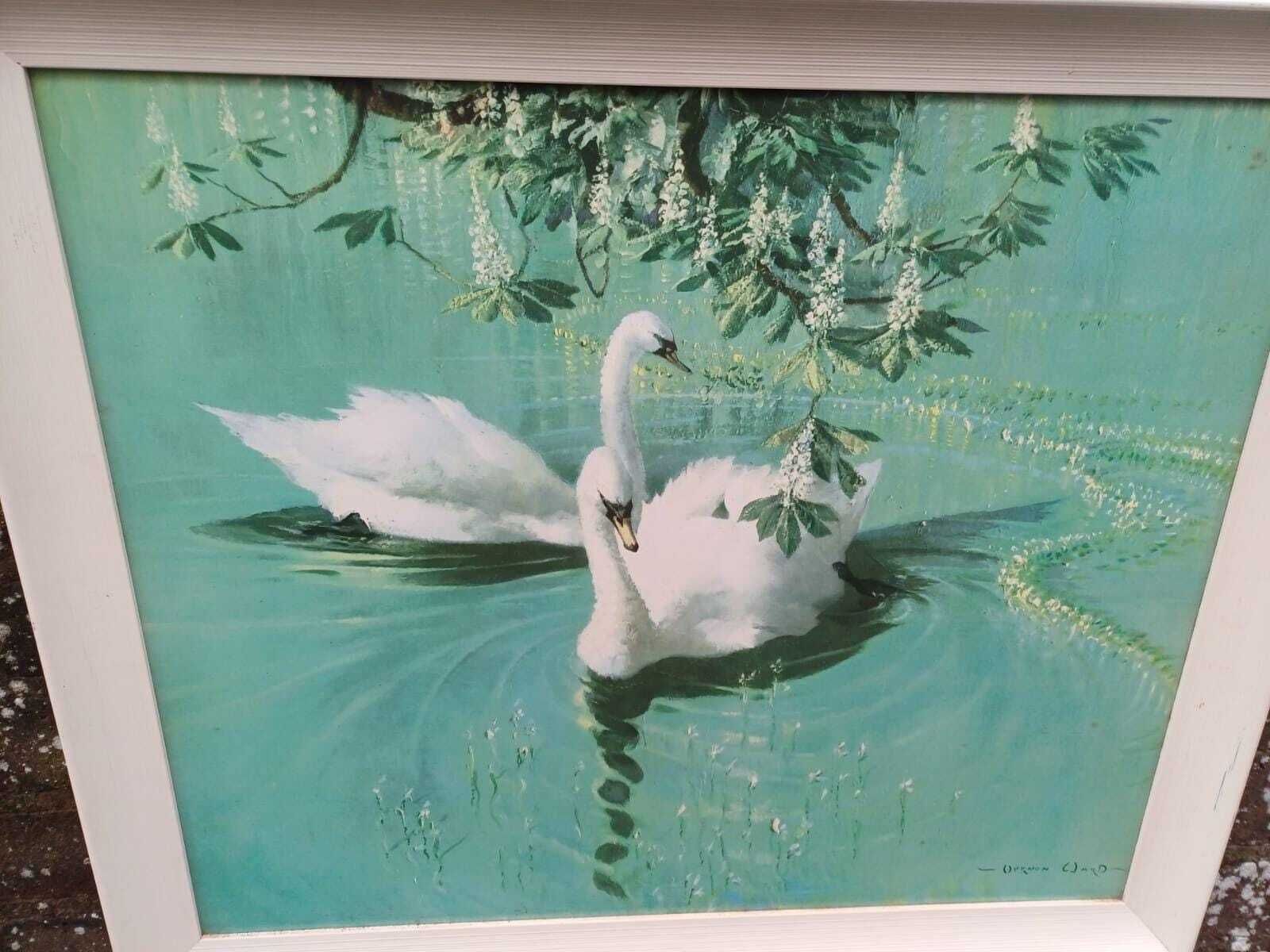 Authentic Retro Vernon Ward Swan Print Mid Century Vintage Framed British Art photo furniture
