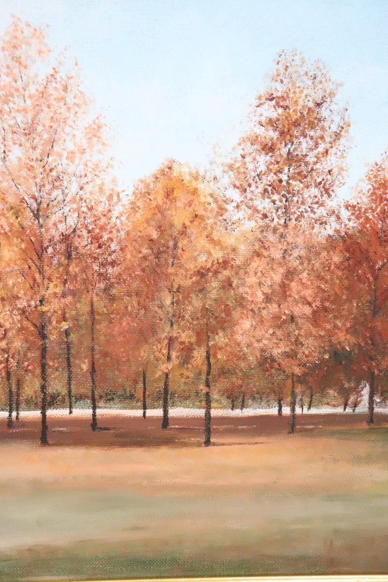 Autumn Landscape, Oil Painting On Canvas Cardboard, 20th Century, Framed photo 1232.0