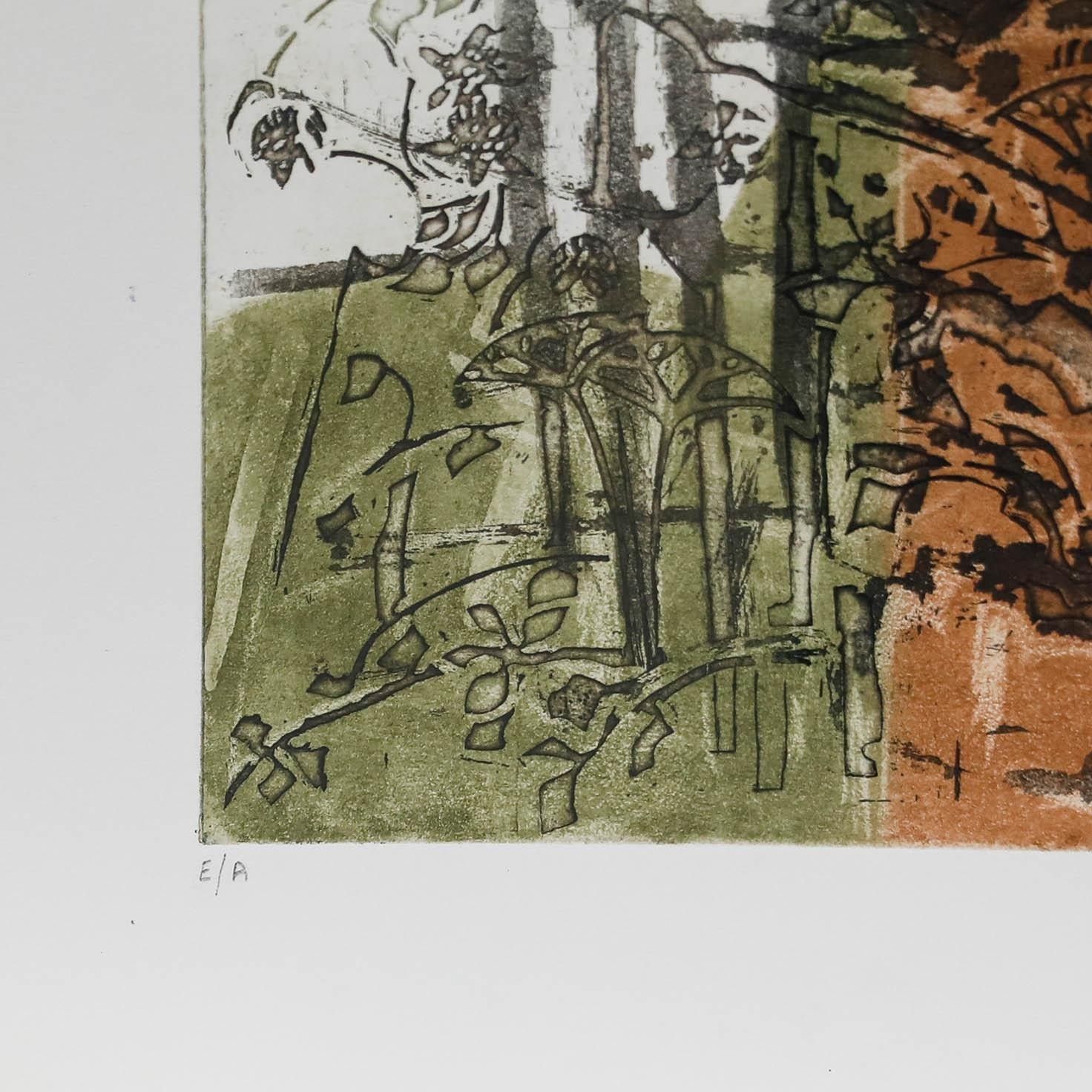 Betty Connal Peebles (1935 1999) 20th Century Collagraph, Haie Vive photo 175.0