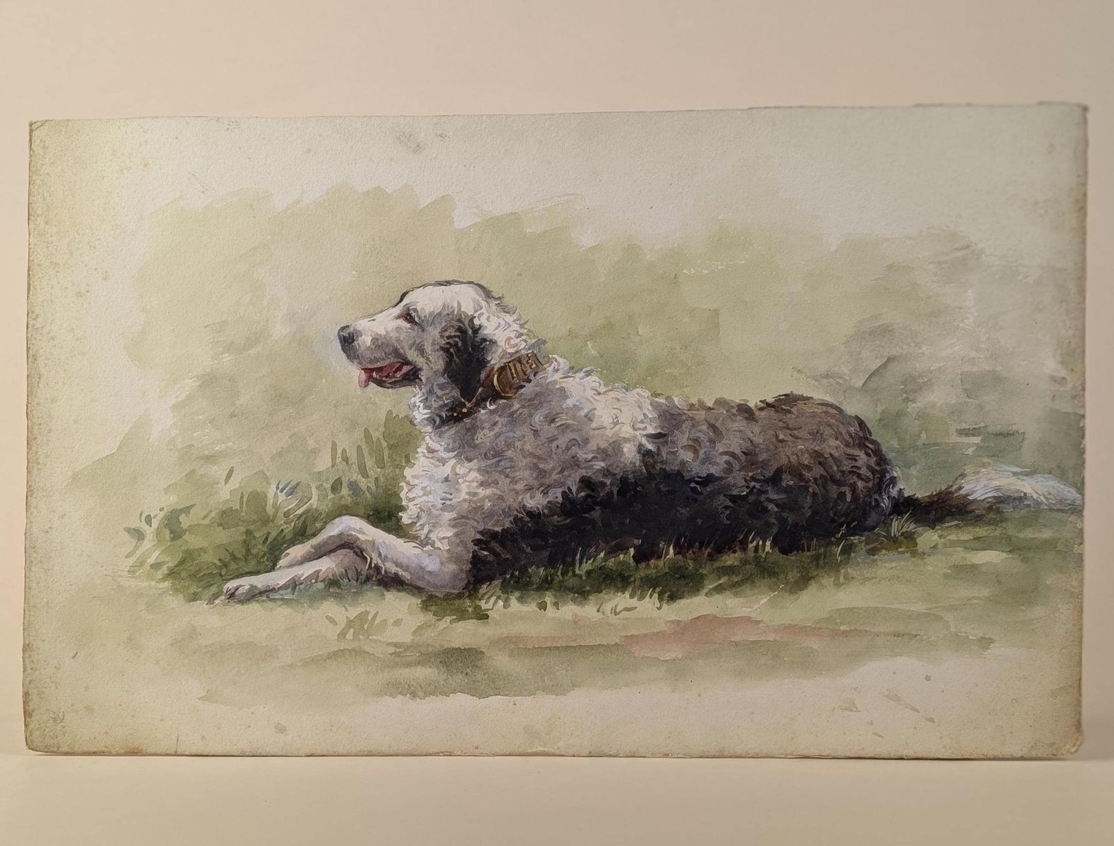 photo for sale Large Mid Century Watercolor Sheepdog Portrait: Original 1930s Animal Painting On Textured Paper