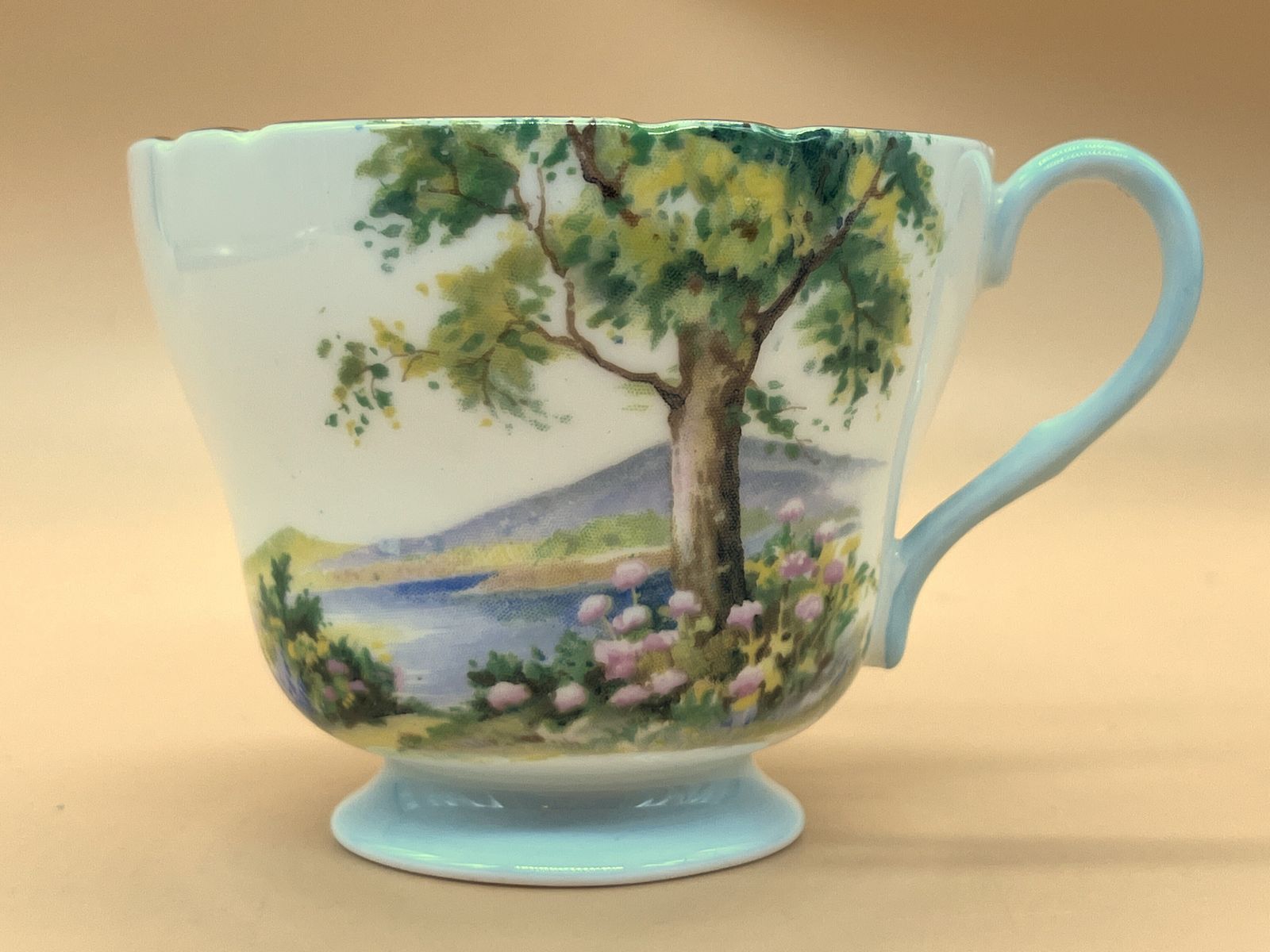 Trio vintage Shelley China, modèle Woodland, forme Richmond, tasse à thé, soucoupe et petite assiette. 13348. photo vintage