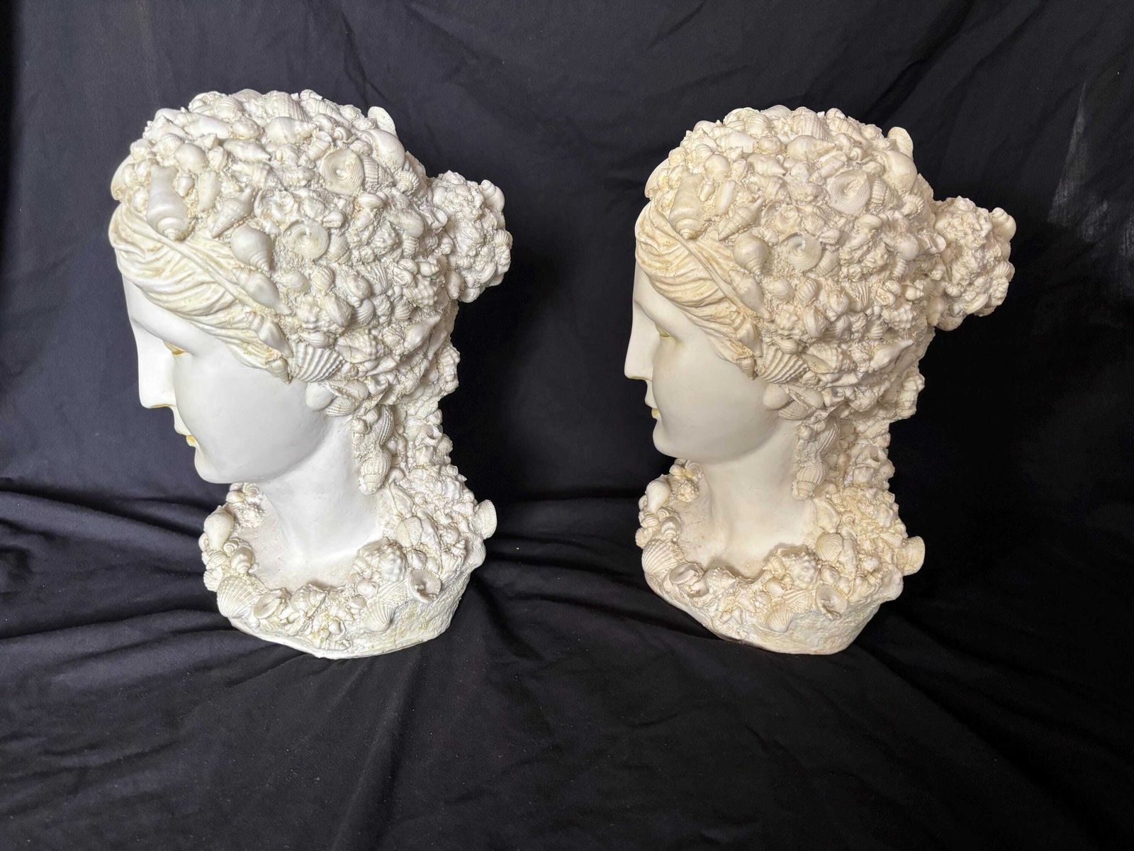 Antique Style Seashell Busts Cast Resin Neoclassical Ladies Busts Figurines photo Art