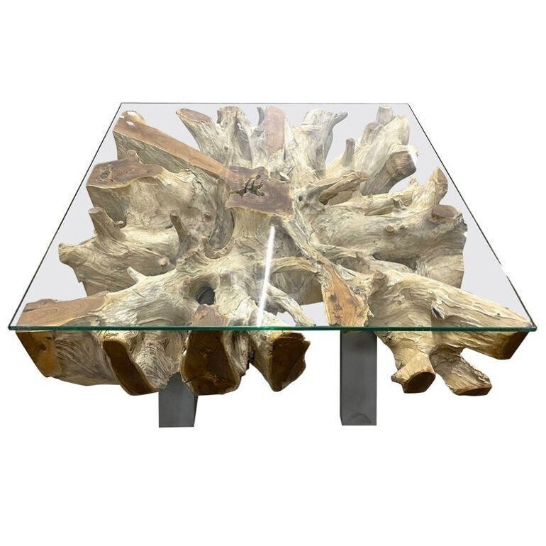 21st Century Organic Modern Teak Root Coffee/ Table, Glass, Idn 2024