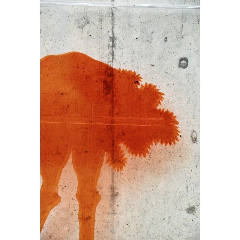 Perspex Sculpture By Gino Marotta photo vinterior