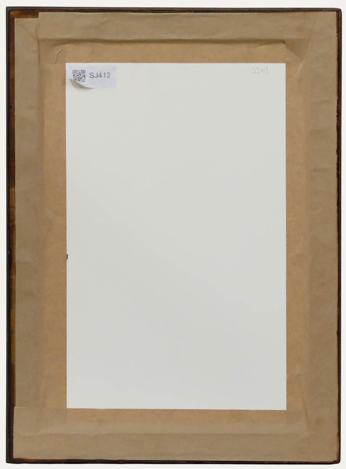 Attrib. Sylvan G. Boxsius Pen And Ink Drawing, Friesia Refracta Alba photo for sale