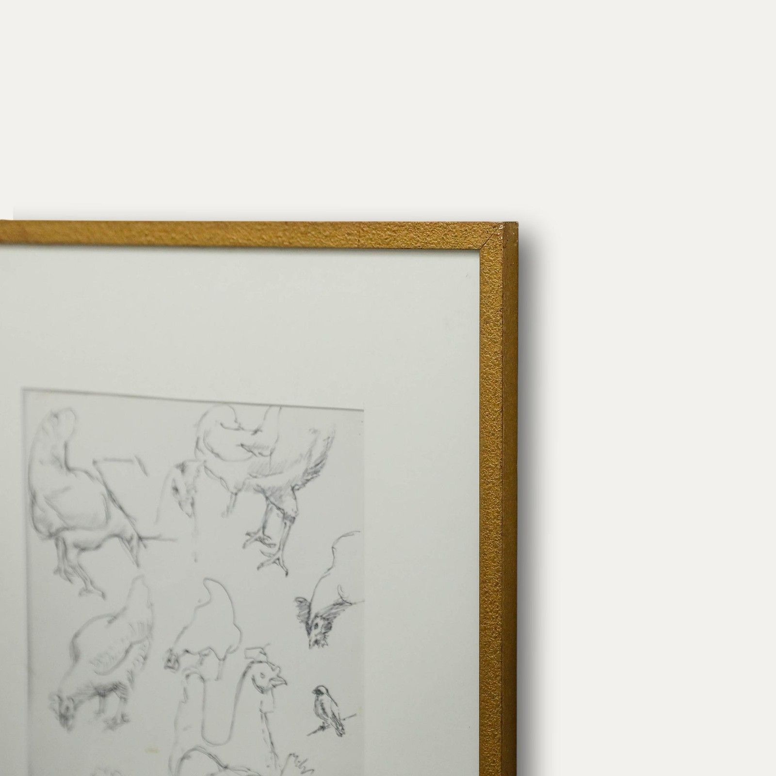 Leslie Charles Boyce (1892 1989) Pen And Ink Drawing, Chicken Studies photo 195.0