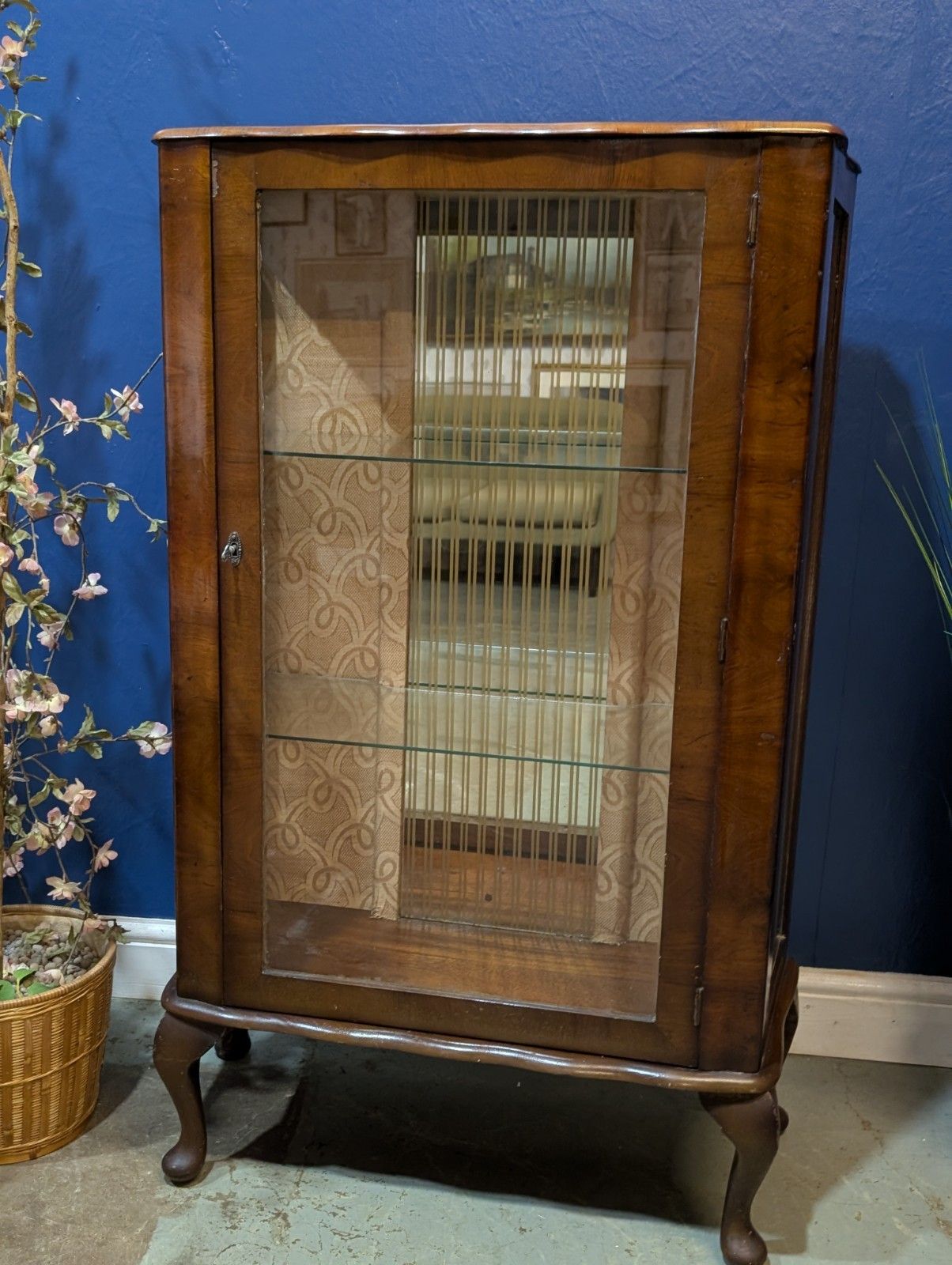Vintage Glazed Walnut Veneer Display Cabinet China Antique Glass Serpentine photo for sale