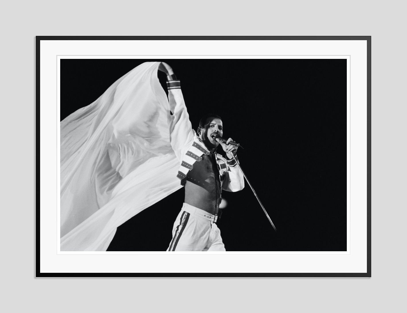 Dave Hogan 'Freddie Flies The Flag' photo furniture
