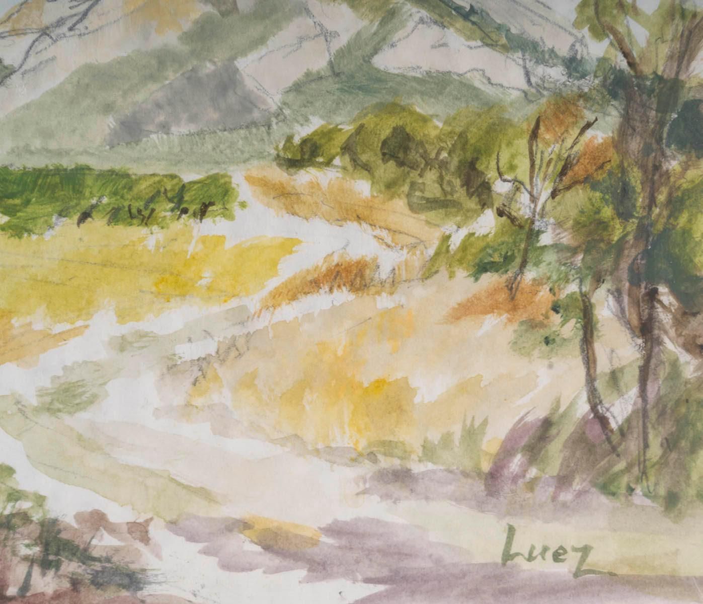 Watercolour On Paper By Evelyne Luez, Framed Under Glass. photo vinterior
