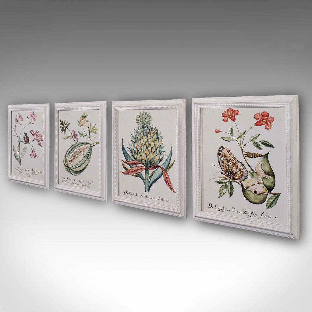 4 Vintage Botanical Pictures, Framed Print, Plant Illustrations, Natural Art photo for sale