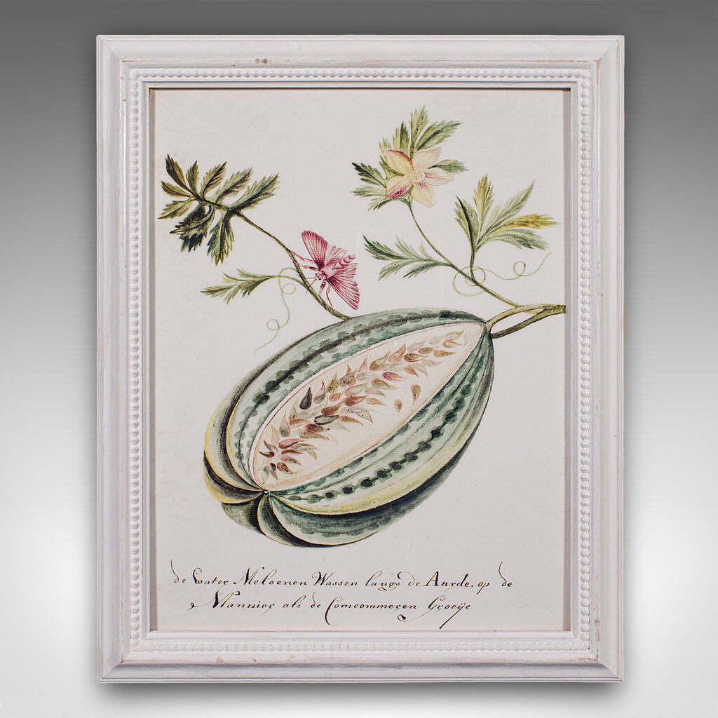 4 Vintage Botanical Pictures, Framed Print, Plant Illustrations, Natural Art photo vintage