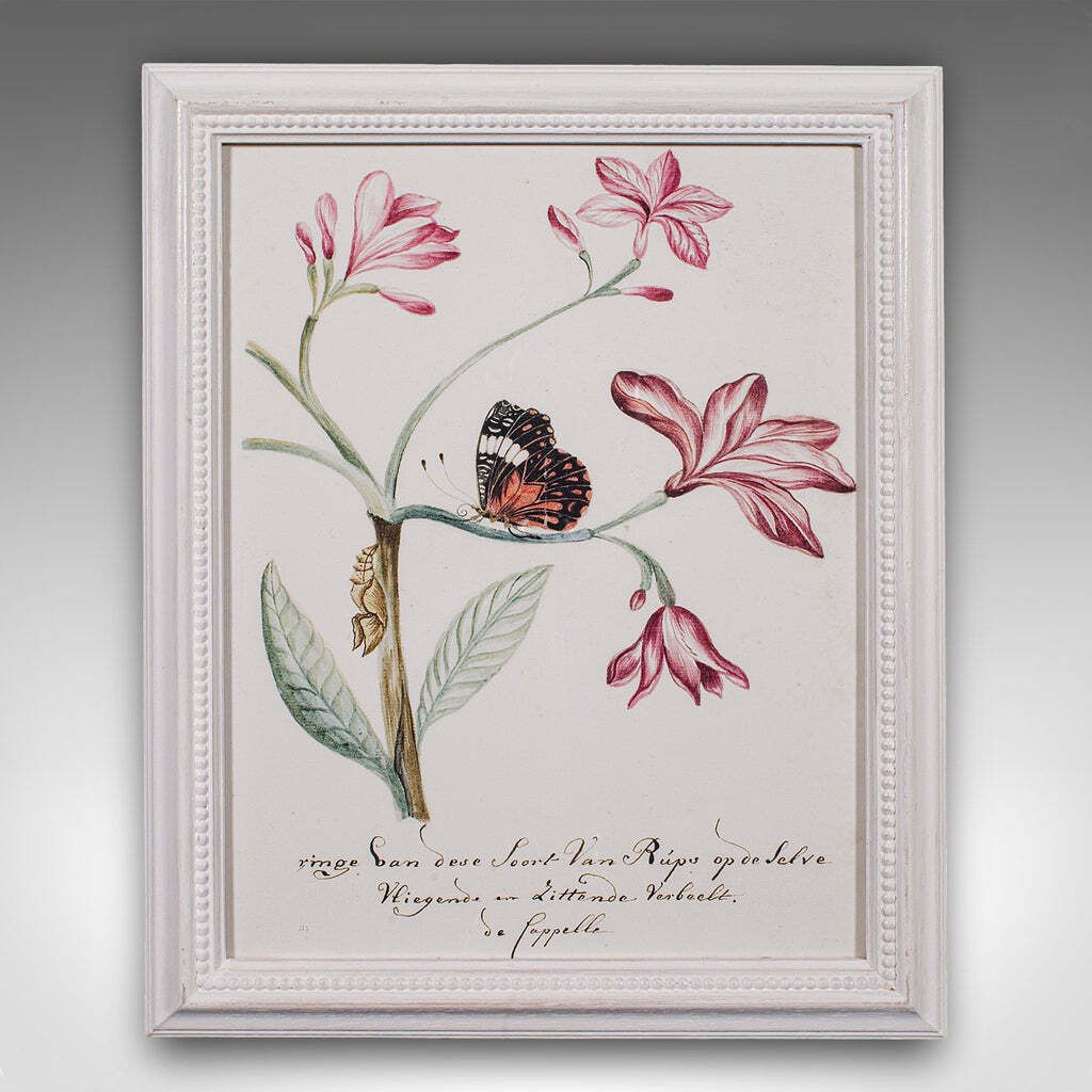photo for sale 4 Vintage Botanical Pictures, Framed Print, Plant Illustrations, Natural Art