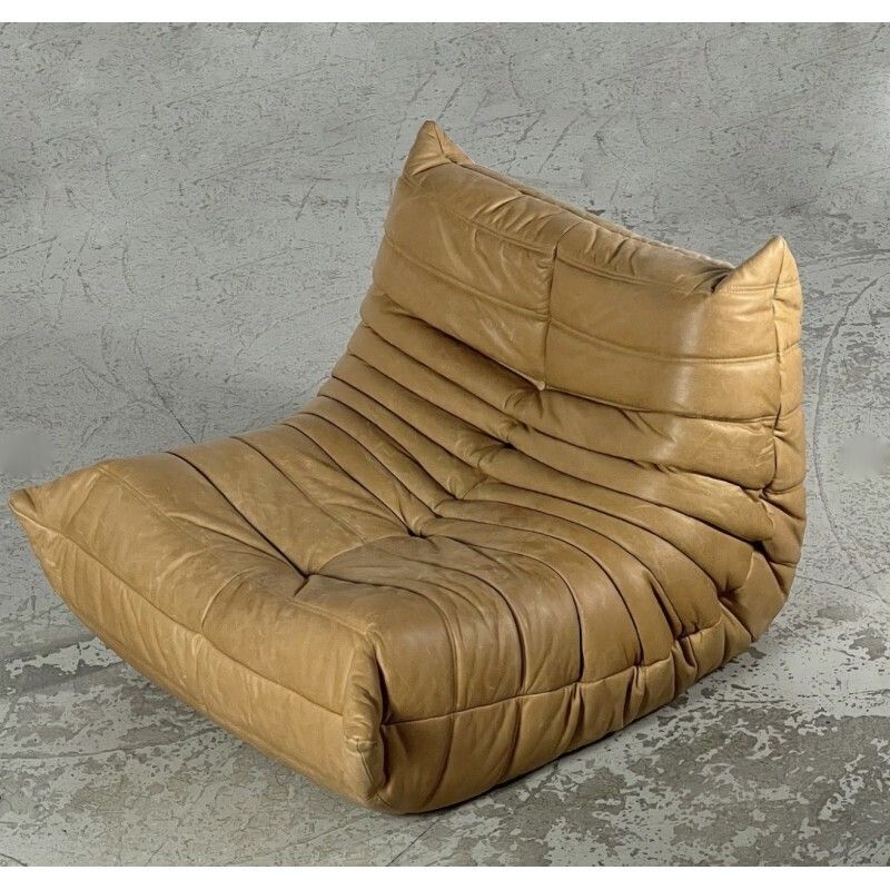 Copy Of Reupholstered Vintage Togo Duo By Michel Ducaroy photo furniture
