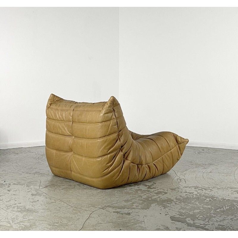 Copy Of Reupholstered Vintage Togo Duo By Michel Ducaroy photo Furniture