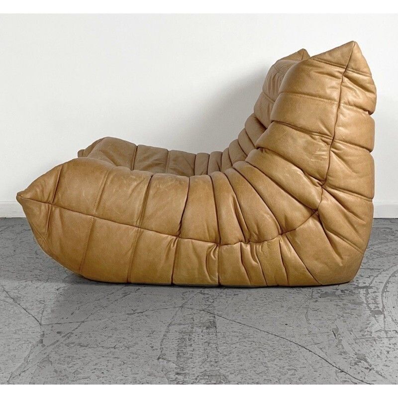 Copy Of Reupholstered Vintage Togo Duo By Michel Ducaroy photo 3084.0