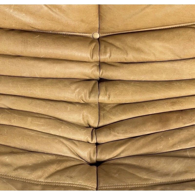 photo furniture Copy Of Reupholstered Vintage Togo Duo By Michel Ducaroy
