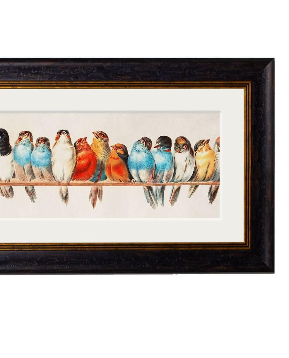 Birds On A Wire Framed Print By Hector Giacomelli Originally Ca 1880, New photo Art