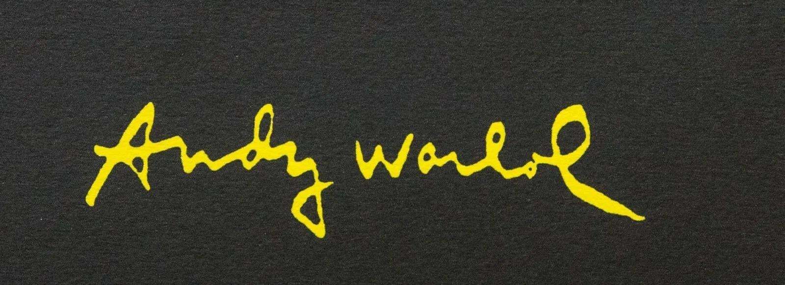 1986 Carnegie Museum Of Art After Andy Warhol "Vw Lemon" Lithograph photo furniture
