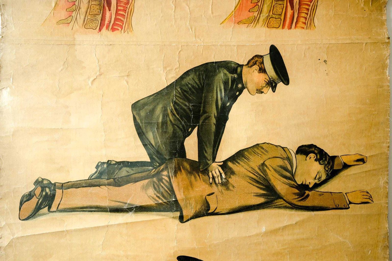 Original Anatomical Vintage British School Wall Chart Resuscitation First Aid Head Anatomy photo Art