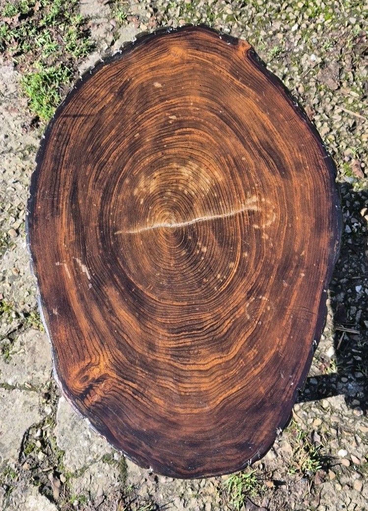 Handmade Rustic Vintage Wooden Coffee Table Oval Tree Trunk Side Table photo Furniture
