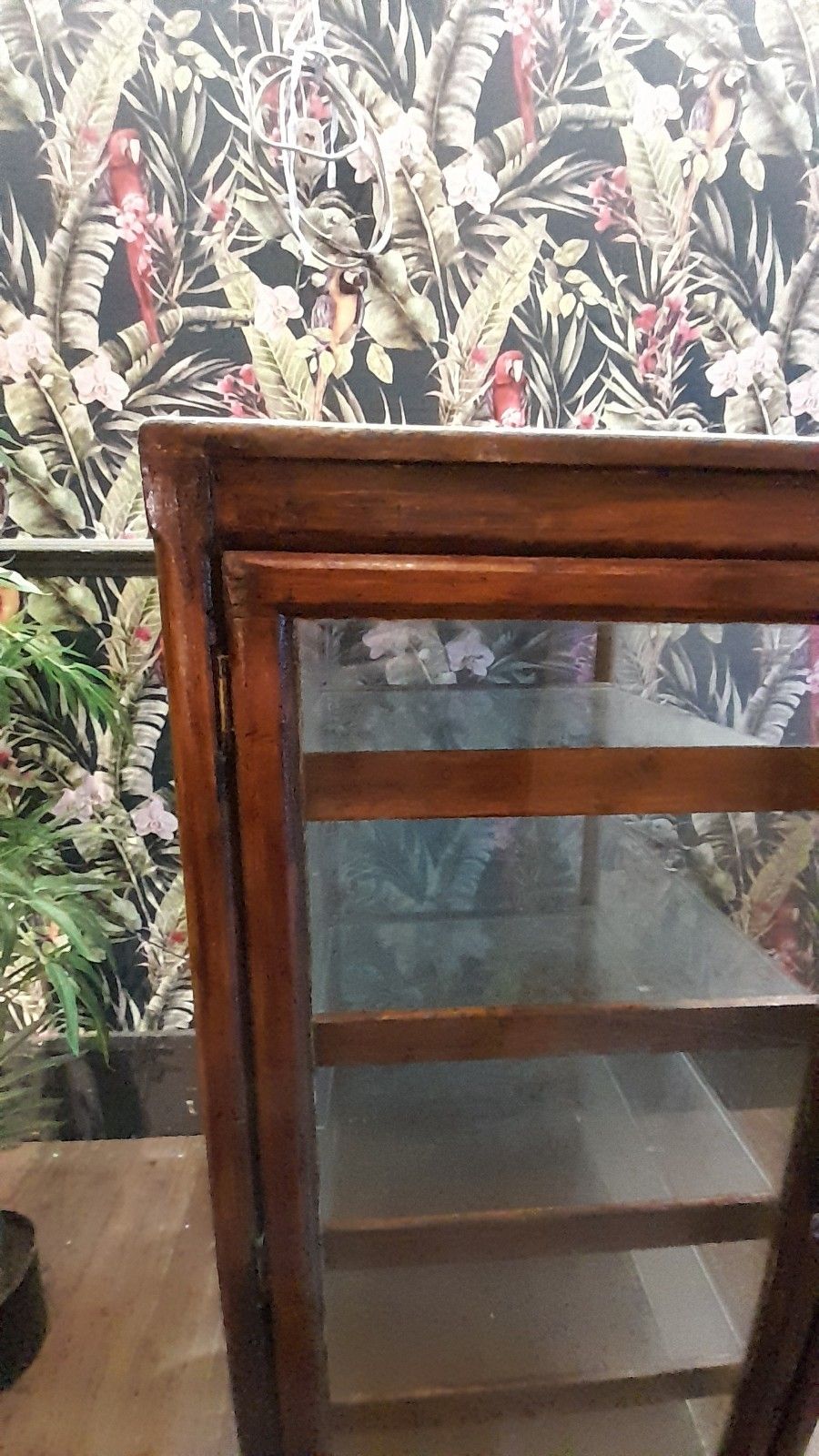 Antique Victorian Shop  Display Glass Cabinet With 5 Shelves And 1 Door photo vinterior