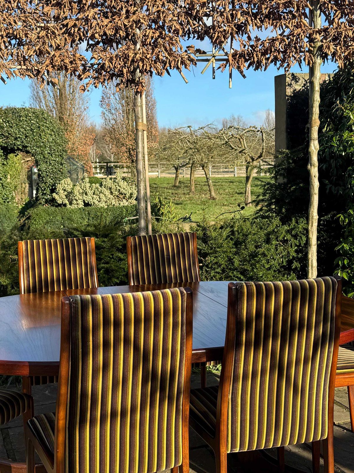 Mid Century Modern Danish Rosewood Dining Table And Eight Rosewood Chairs By Robert Heritage For Archie Shine 1970. photo Furniture
