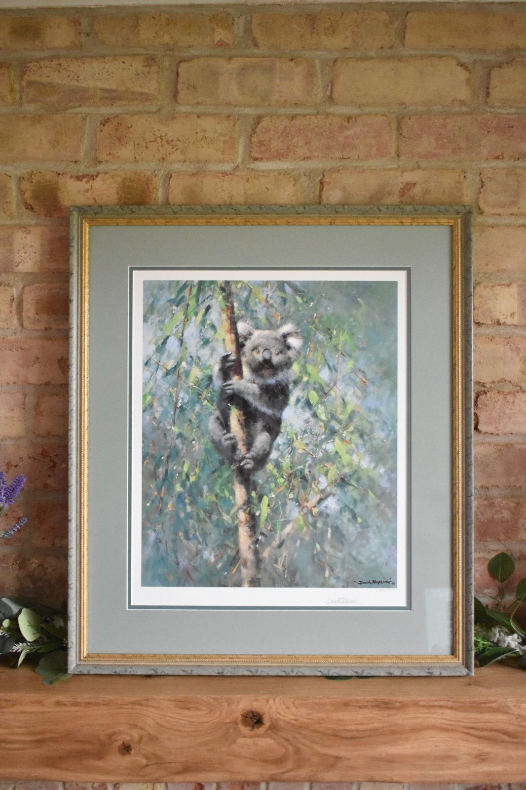 Koala By David Shepherd Large Framed Print Limited Edition Signed By Artist photo vintage