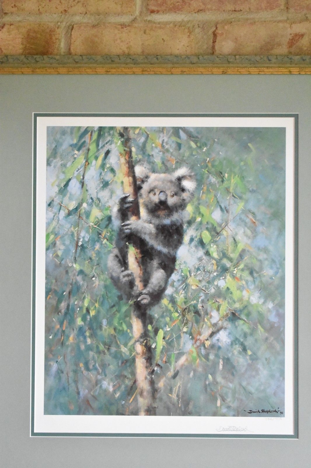 photo furniture Koala By David Shepherd Large Framed Print Limited Edition Signed By Artist