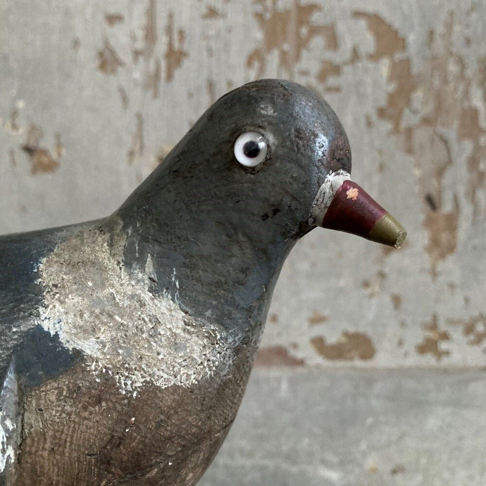 Antique Wood Pigeon Decoy   James Rolph photo Art