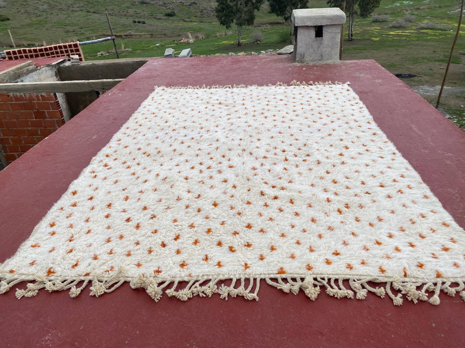 photo furniture Authentic Beni Ouarain Rug 330x230cm – Ivory Wool With Terracotta Motifs