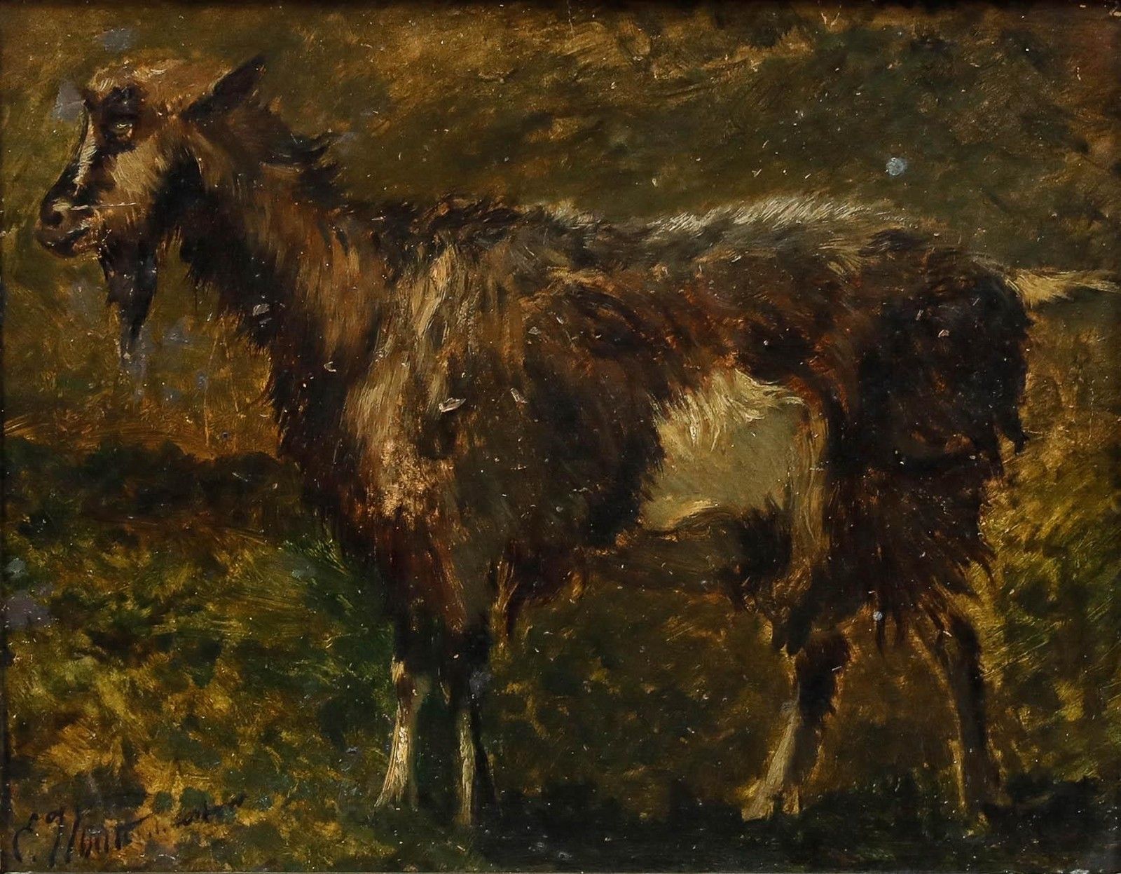Edouard Woutermaertens (1819 1897) Mid 19th Century Oil, Goat In A Meadow photo furniture