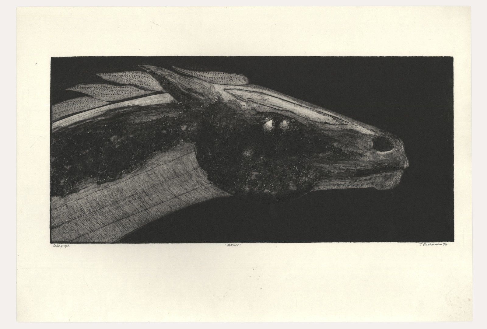 Terry Buchanan (B.1938) Contemporary Collagraph, Arion