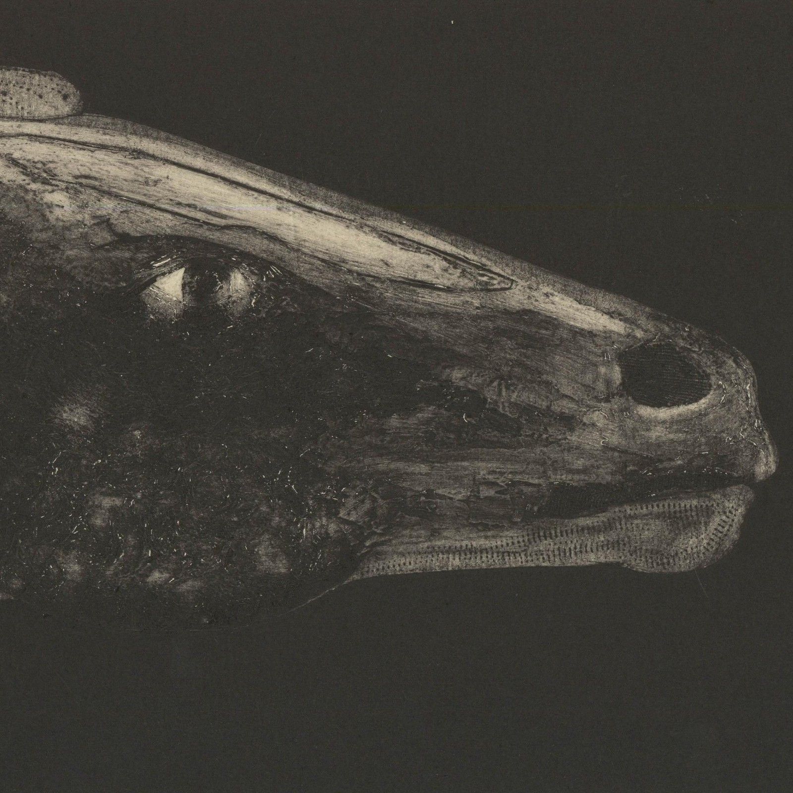 Terry Buchanan (B.1938) Contemporary Collagraph, Arion photo for sale