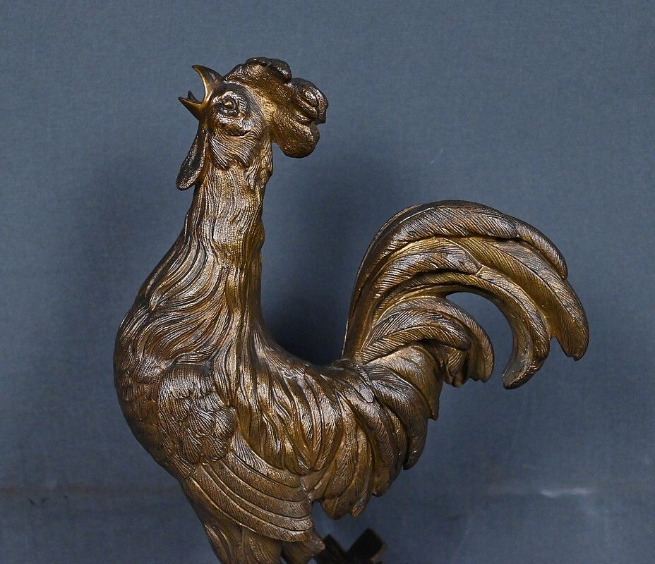 Bronze "The Rooster" Signed G. Guesnet – Late 19th Century photo vinterior