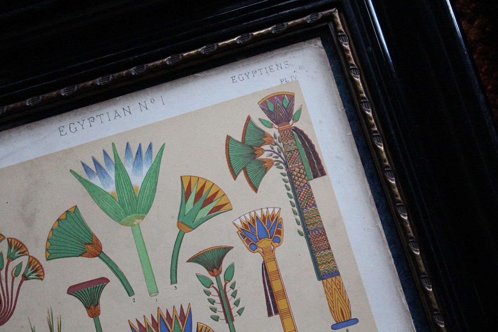 The Grammar Of Ornament, 1856 Owen Jones Pair Of Framed Plates Egyptian & Hindoo photo vintage