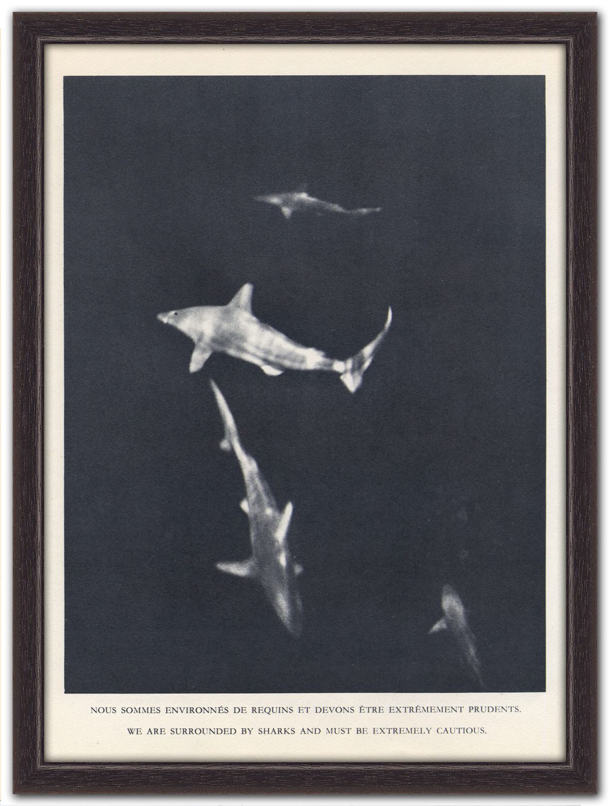 Beautiful Grainy Monochrome French Heliochrome Print, 1950s