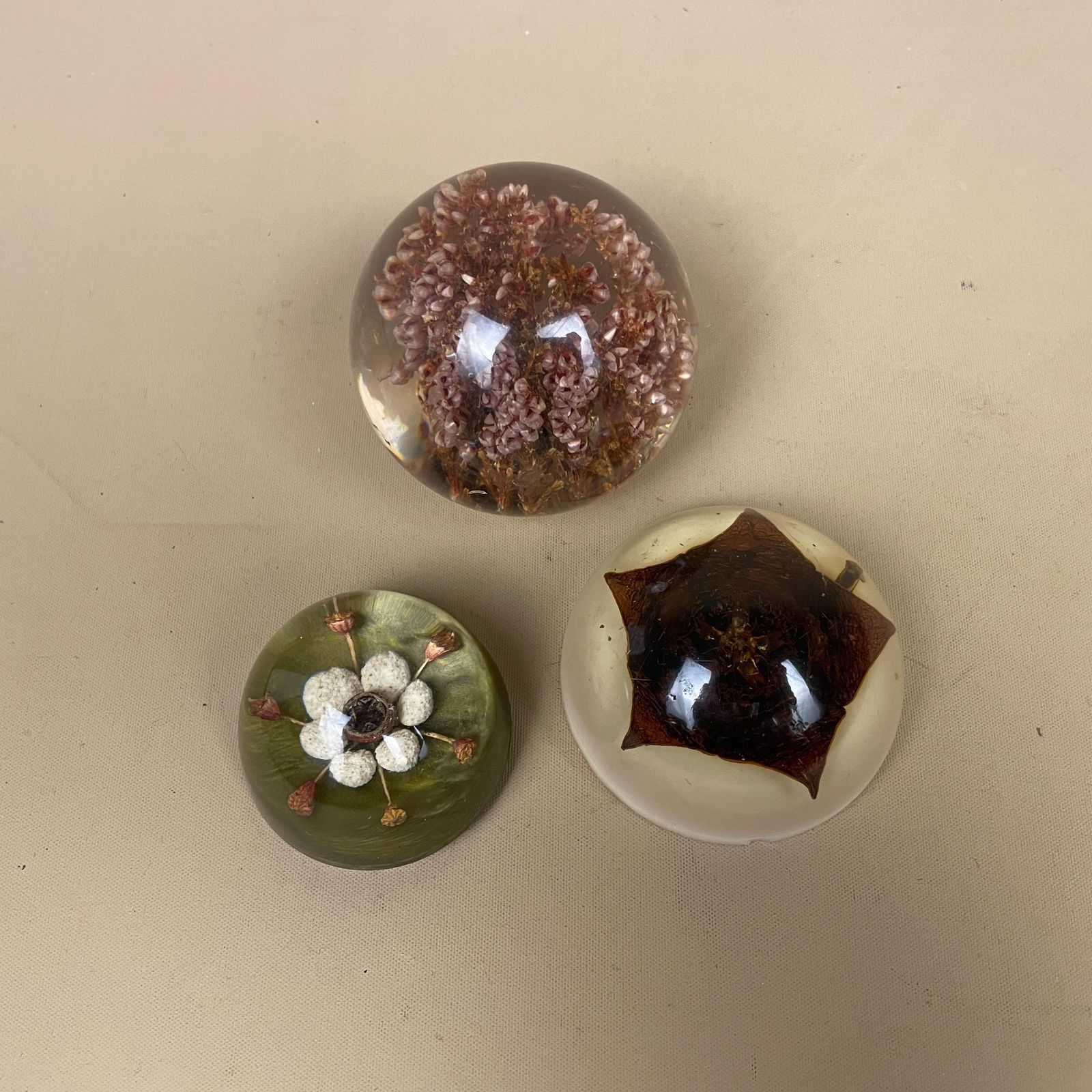 Vintage Resin Flower Paperweights Set Of 3 Clear Dome Desk Decor Mid Century Office Accessories Dried Flower Ornament Retro Home Decor photo buy