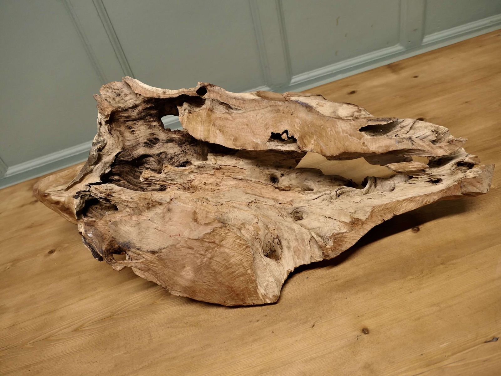 A Hand Carved Live Wood Iguana This Wonderful Piece Is Carved From A Single Piece Of Wood photo 1740.0