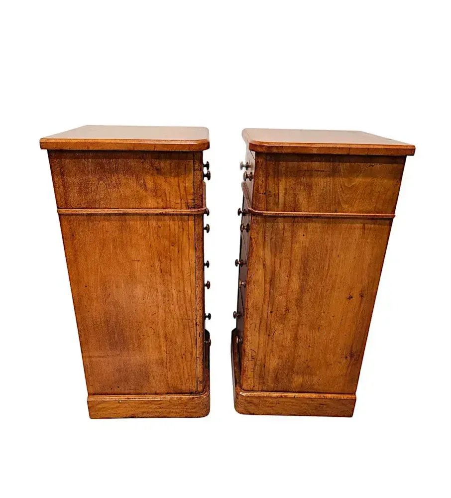 A Fabulous Pair Of 19th Century Bedside Chests photo 1702.7443