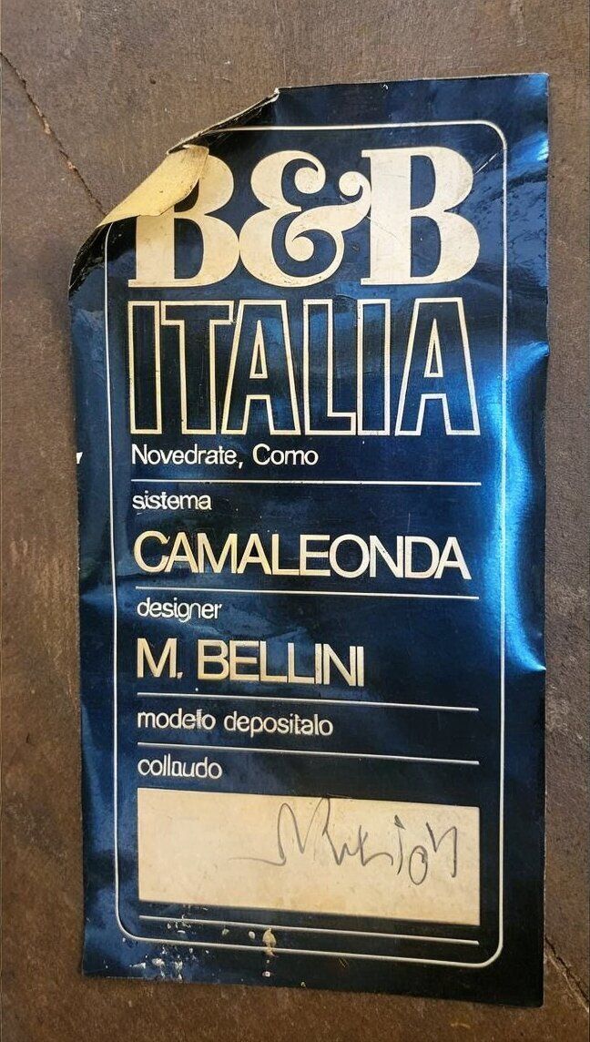 Furniture Camaleonda Lounge Chair By Mario Bellini For B&B Italia, 1970s photo