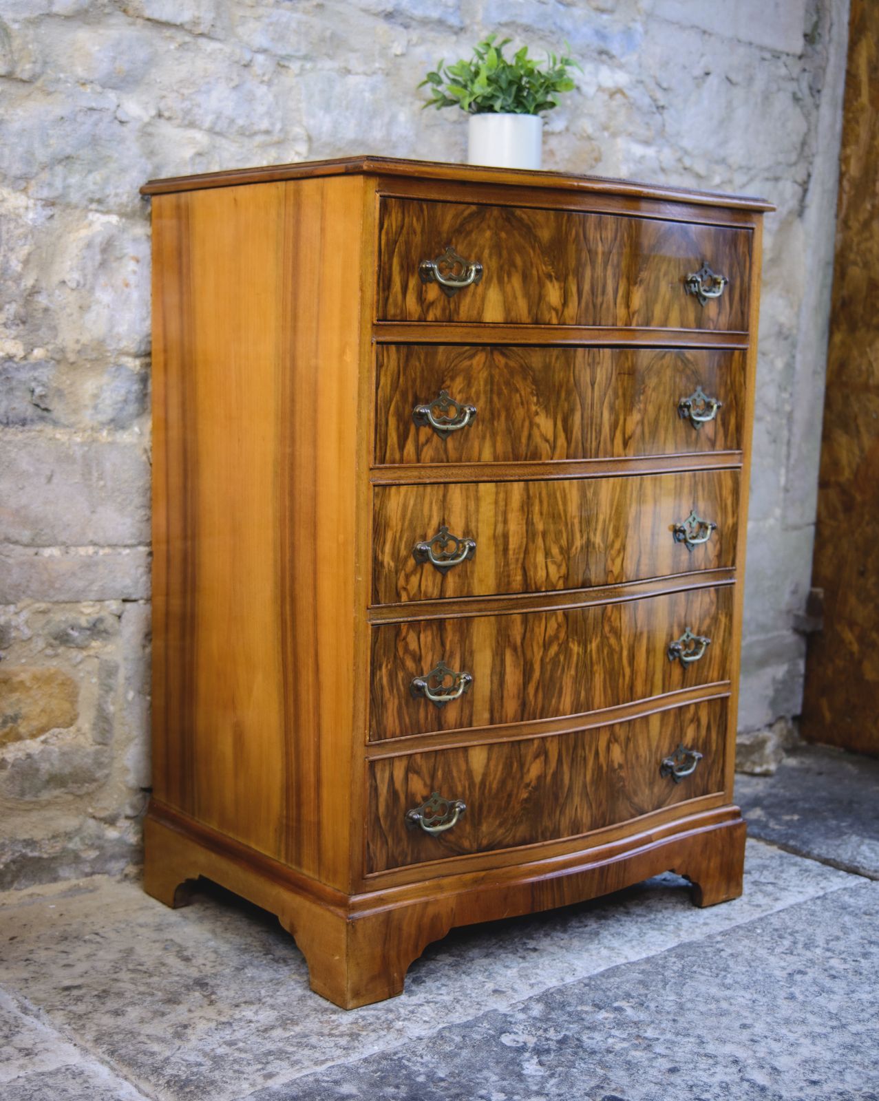 Regency Style Walnut Chest Of Drawers   Serpentine Front photo furniture