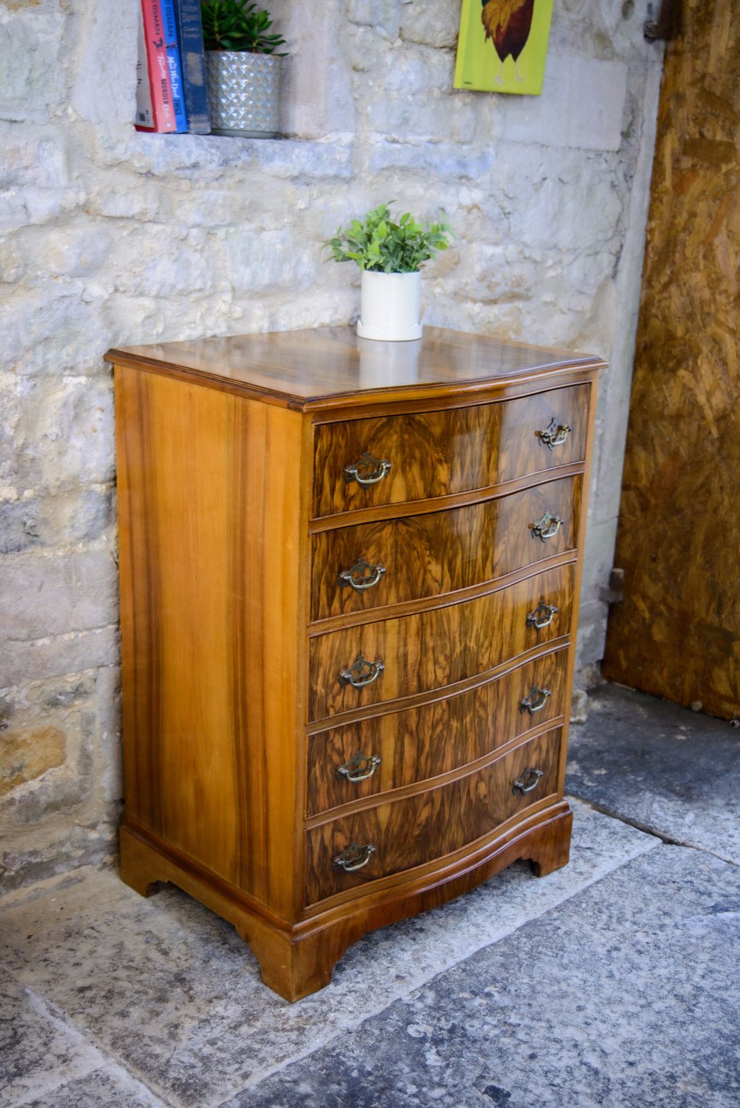 Regency Style Walnut Chest Of Drawers   Serpentine Front photo Furniture