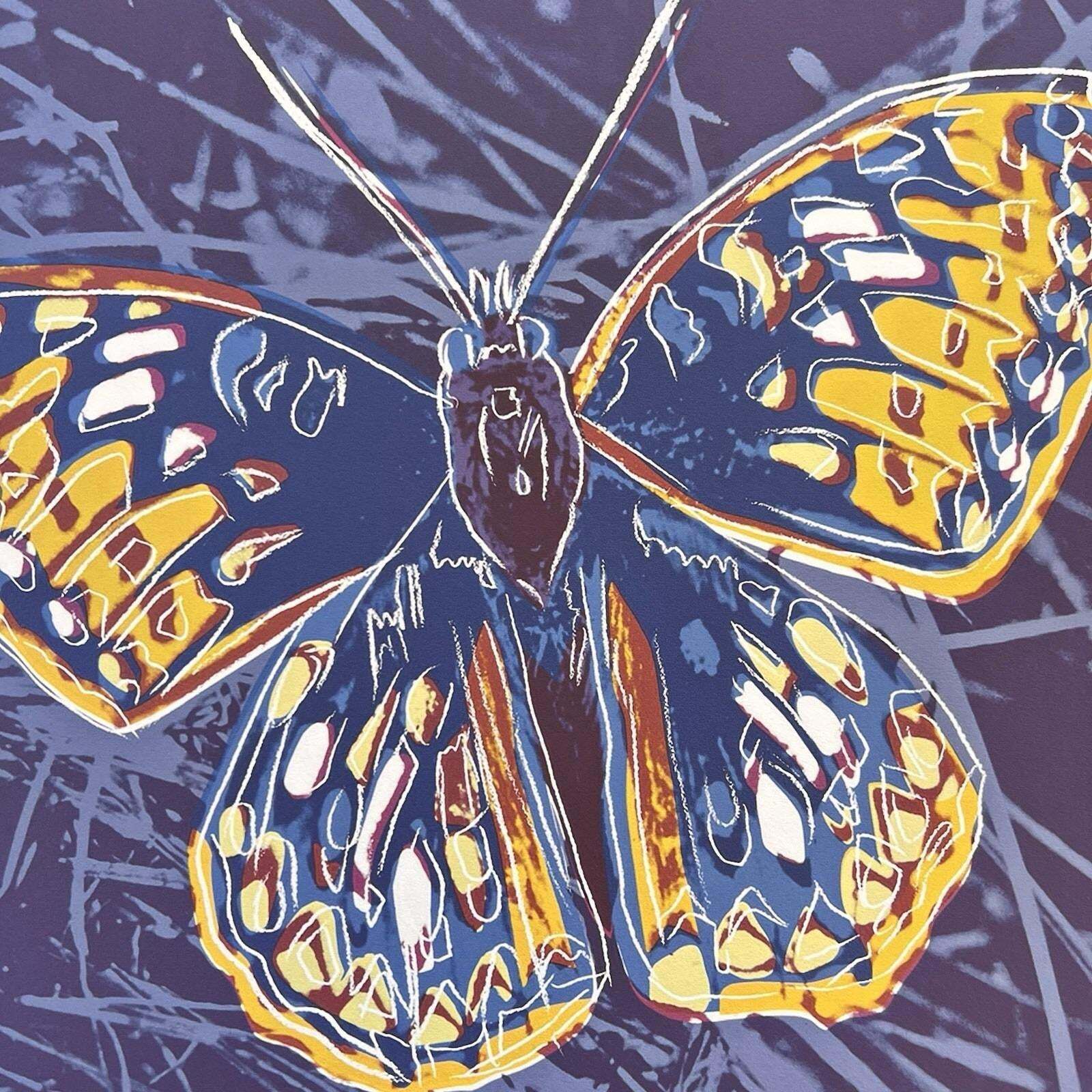 1986 Carnegie Museum Of Art After Andy Warhol "Butterfly" Lithograph photo for sale