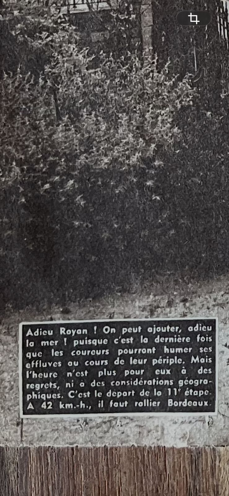 Vintage Tour De France Cycling Print Royan   Bordeaux 1958 photo for sale