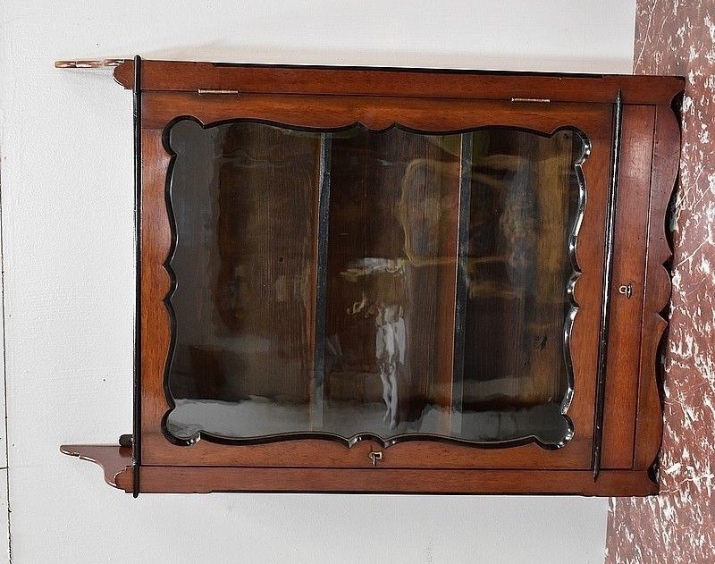 19th Century Mahogany Wall Display Case