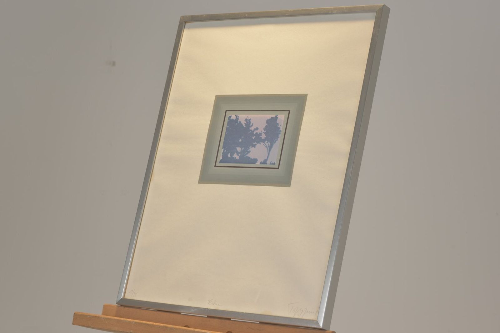 Nature, Signed Torquin '74, 12/25, Silkscreen Print, Framed Under Glass photo buy