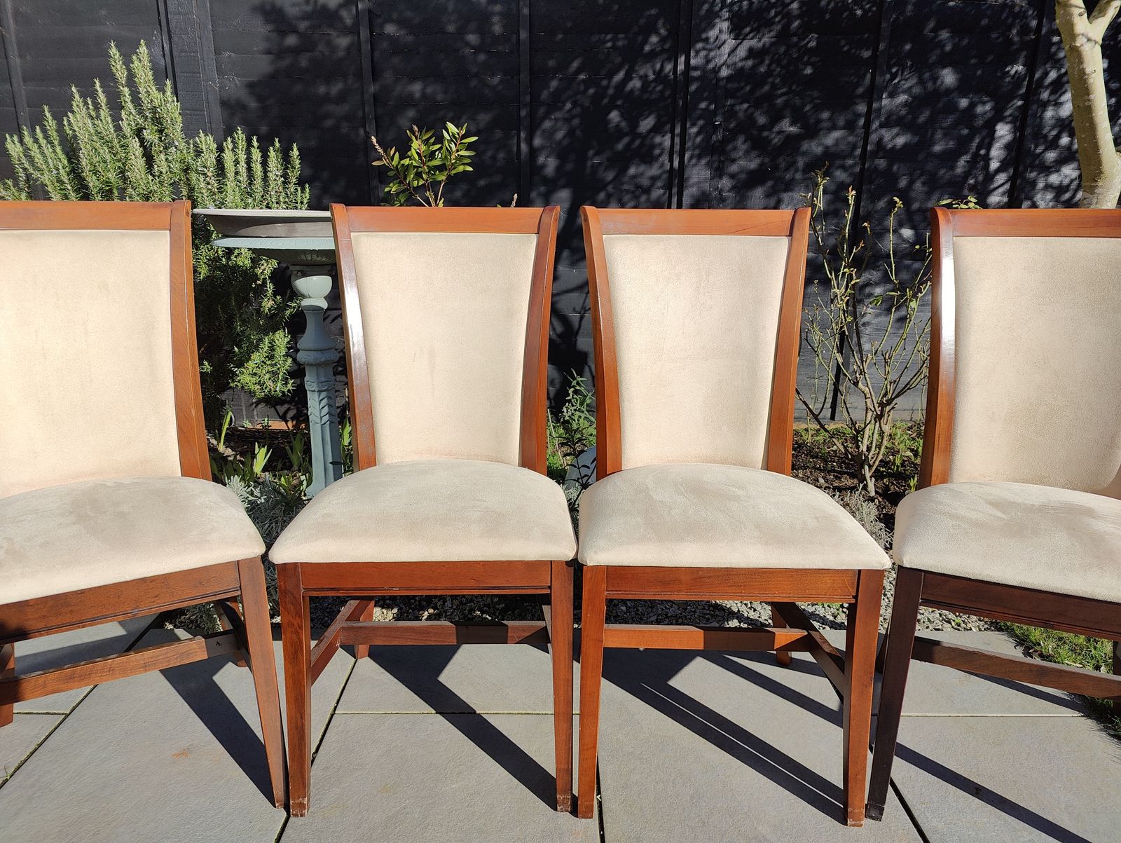 photo furniture Willis Gambier Dining Table & Chairs